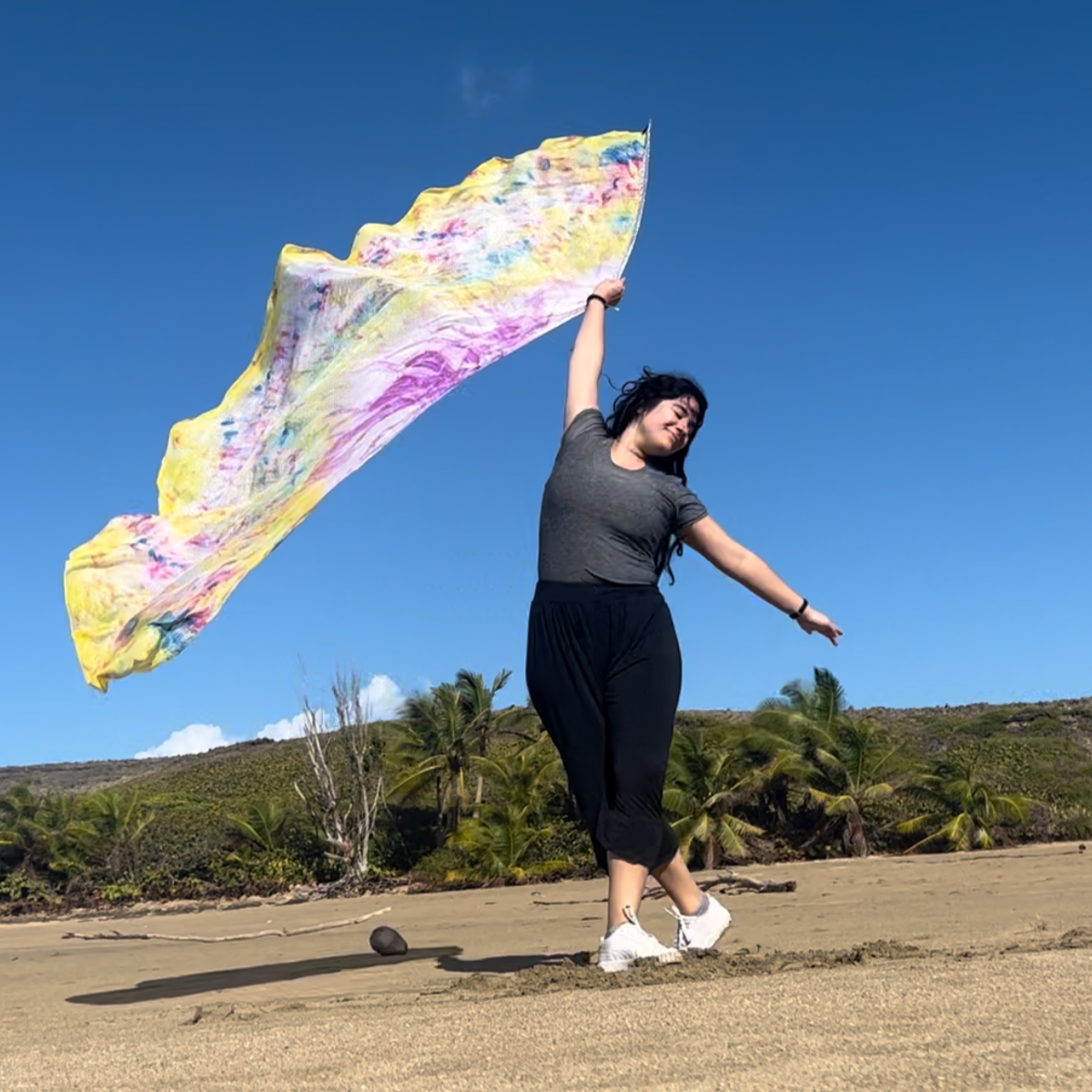 Bandera Media Luna